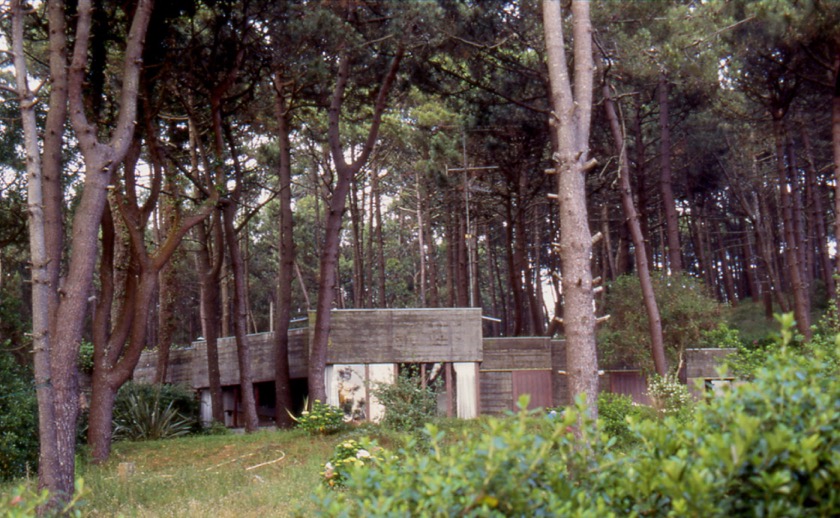 02 - Montedor